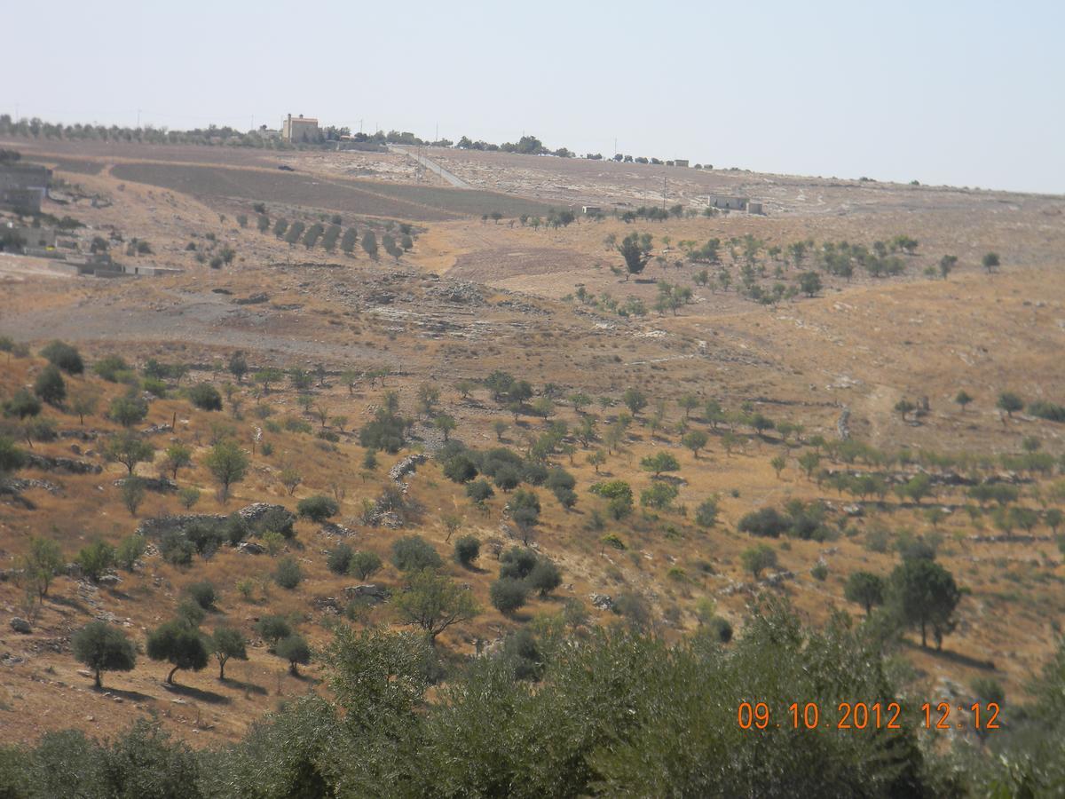 마다바 Town Of Mount Nebo 빌라 외부 사진