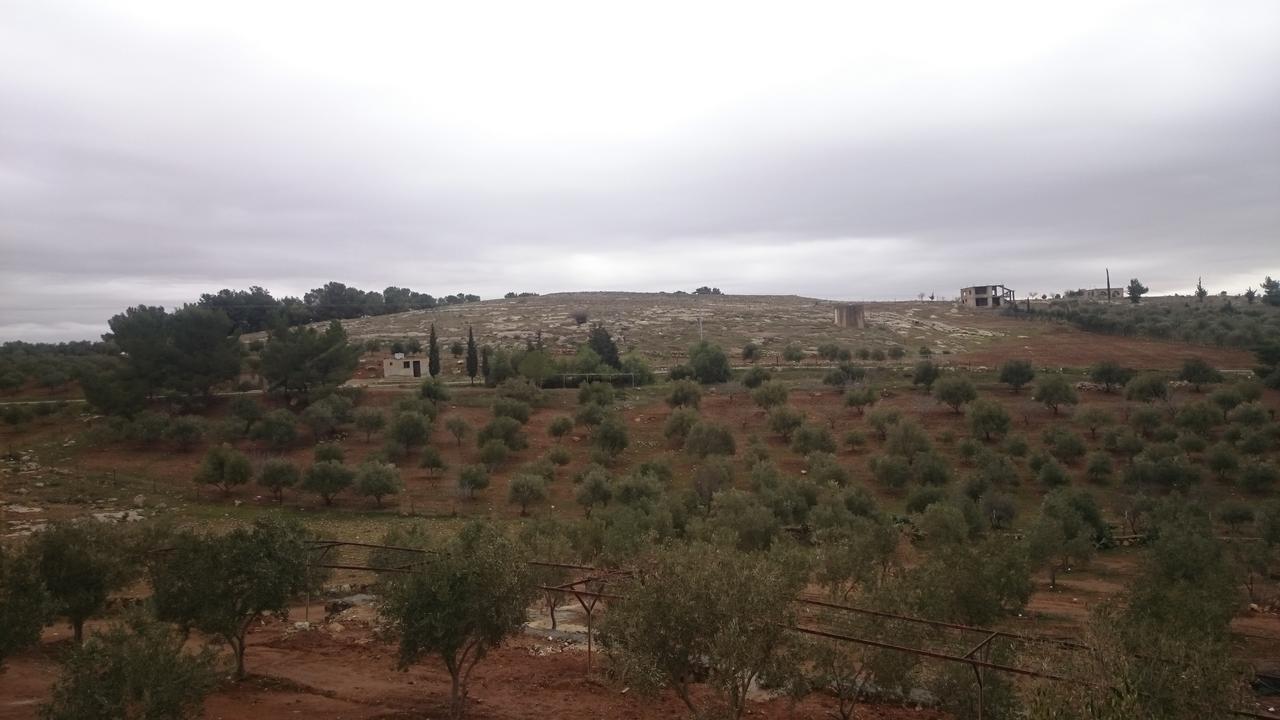 마다바 Town Of Mount Nebo 빌라 외부 사진